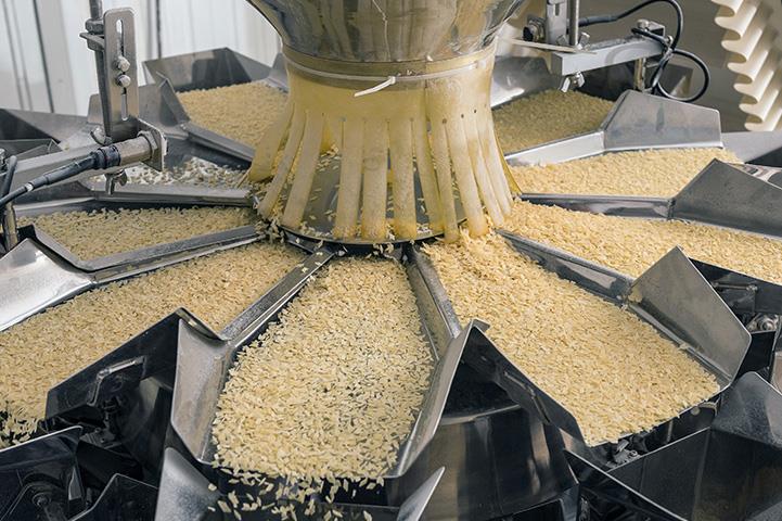 automated food factory sorting machine